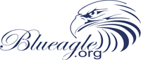 Blueagle Carpet Cleaning Company Logo